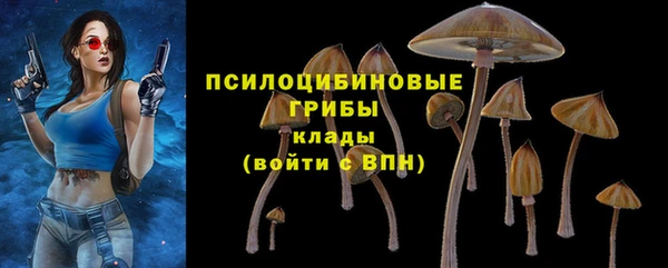 бошки Лиски