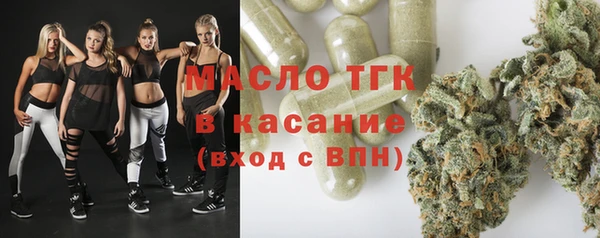 индика Ряжск