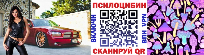 дарнет шоп  Топки  Псилоцибиновые грибы Magic Shrooms 