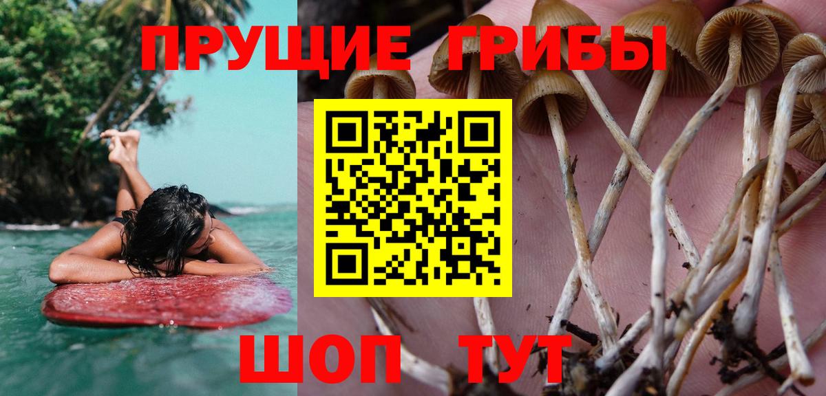 Галлюциногенные грибы мухоморы Топки