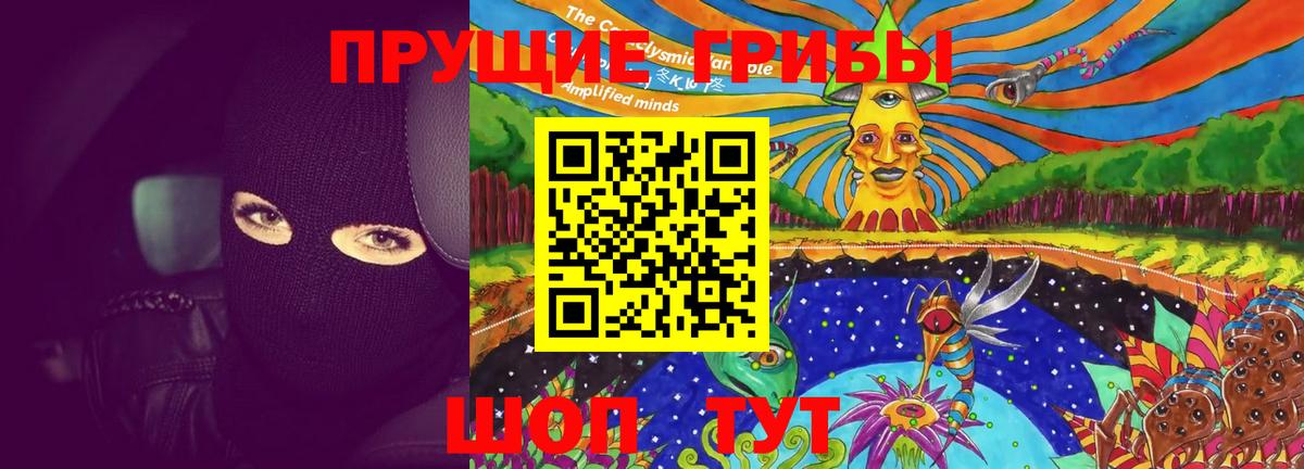 Галлюциногенные грибы Psilocybine cubensis  Топки  Псилоцибиновые грибы Magic Shrooms 