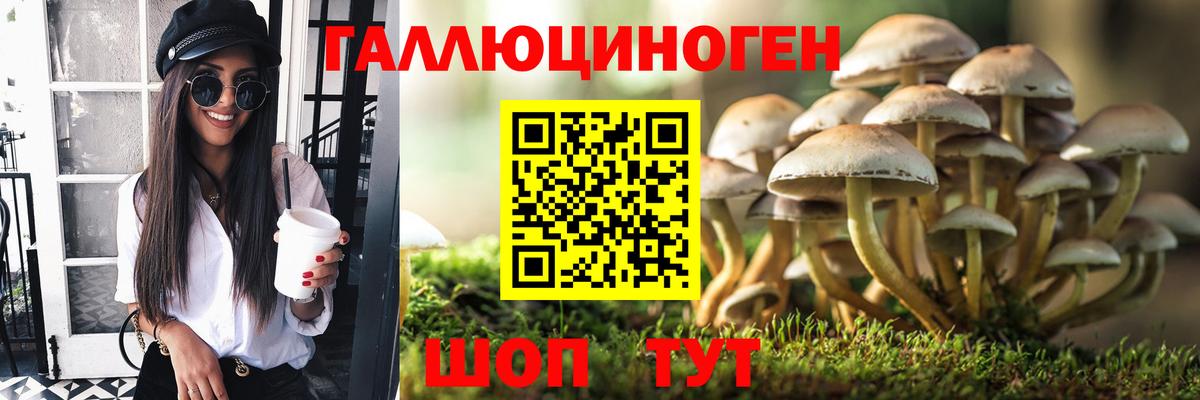 Галлюциногенные грибы мухоморы  Вход с VPN  закладка  Топки 