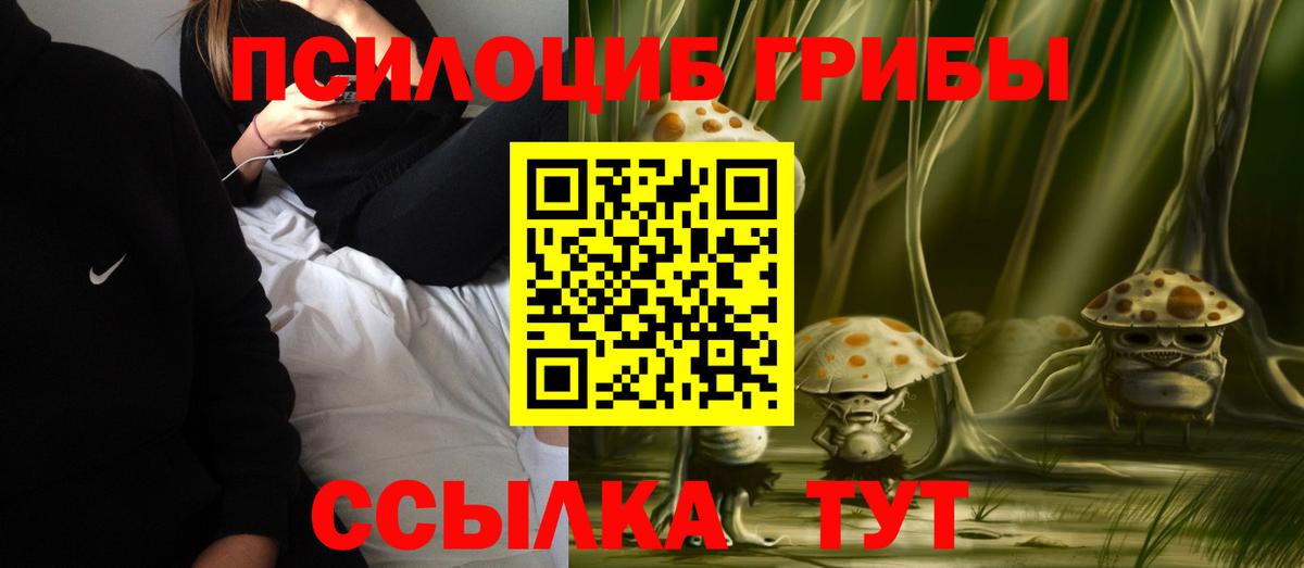 Галлюциногенные грибы Cubensis Топки
