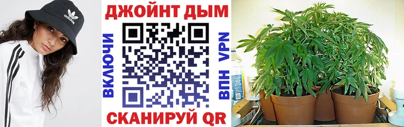 Марихуана сатива  Топки 